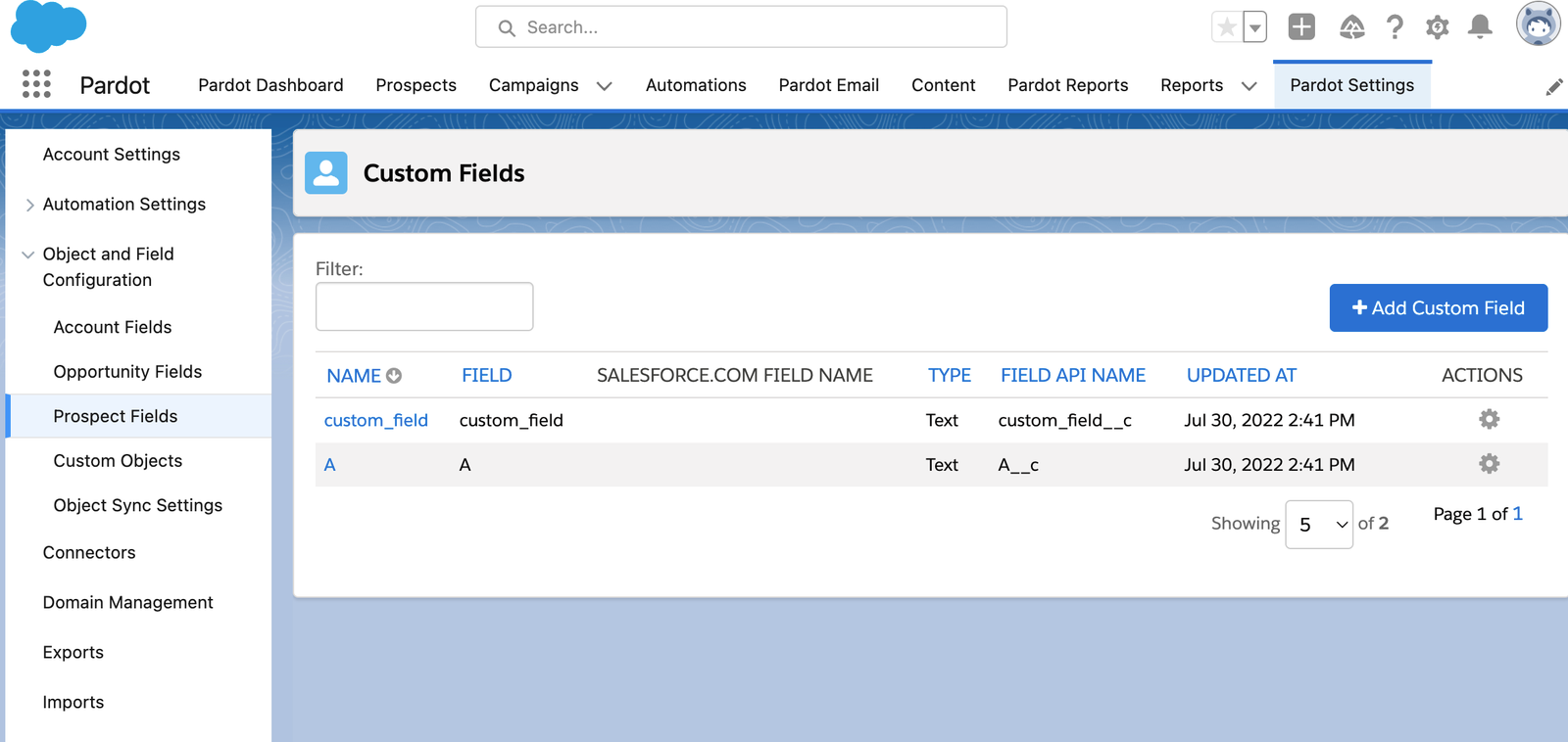 the custom fields